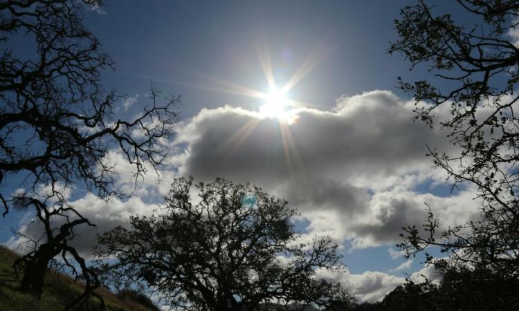 Imagen del sol asomando entre las nubes