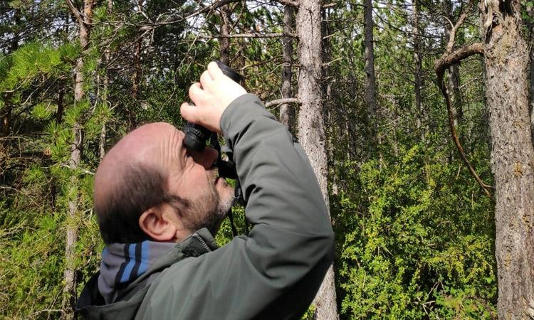 Observación de hojas en uno de nuestros bosques