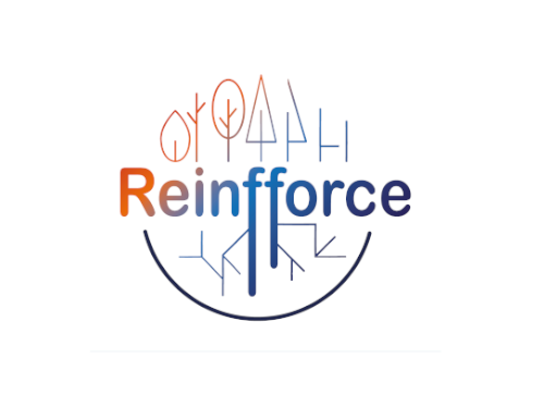 Logo Reinfforce2